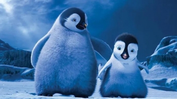 Happy Feet bëhet muzikë në Broadway