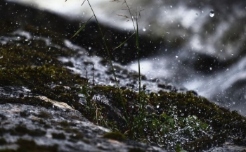 Moti i vranët e me shi mund të sjellë edhe borë sot