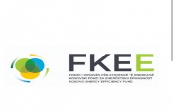 FKEE përmbyll pakon e mbështetjes për energjinë, merr pjesë edhe Kurti